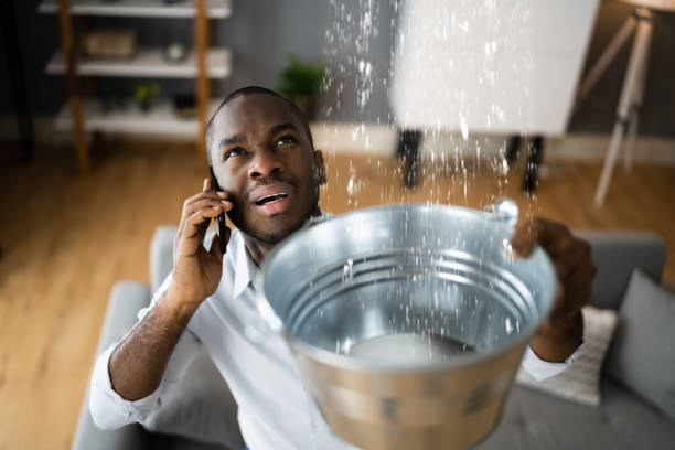 Best Mold removal after water damage  in Fruit Cove, FL