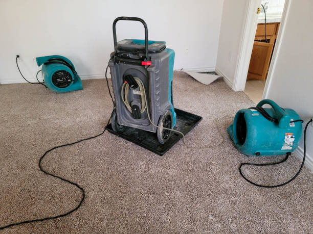 Best 24-hour water damage restoration  in Fruit Cove, FL