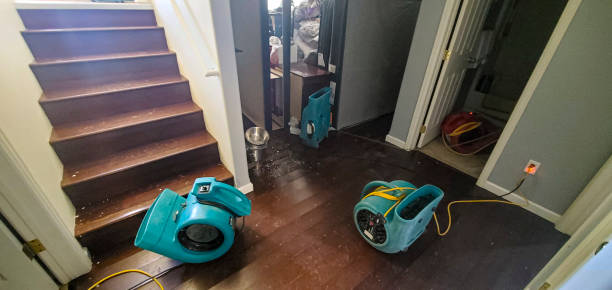 Best Water damage cleanup near me  in Fruit Cove, FL