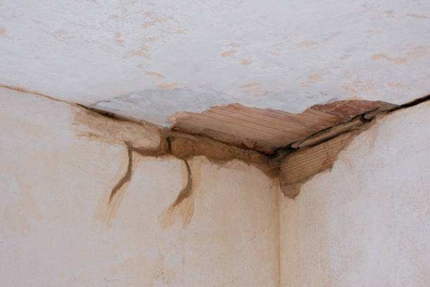 Best Water damage restoration near me  in Fruit Cove, FL