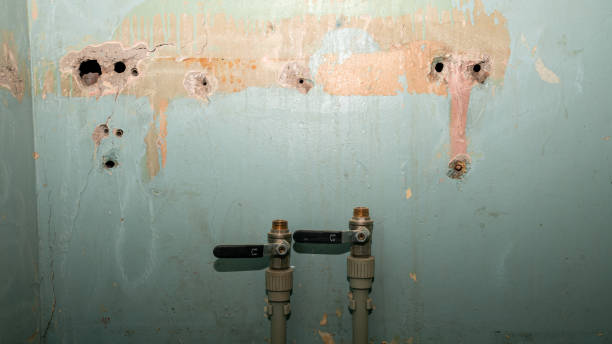 Best Carpet water damage restoration  in Fruit Cove, FL