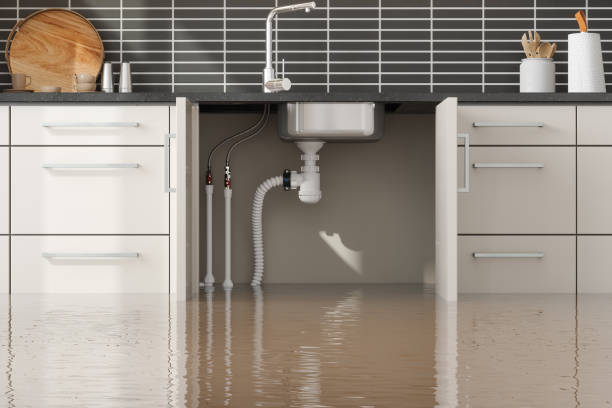 Best 24/7 water damage repair  in Fruit Cove, FL