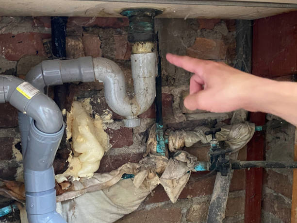 Best Water damage restoration process  in Fruit Cove, FL