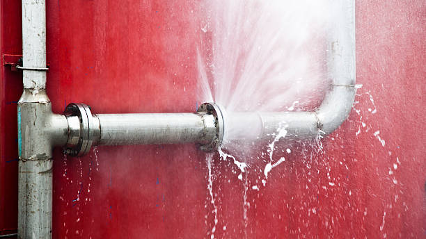 Best Carpet water damage restoration  in Fruit Cove, FL